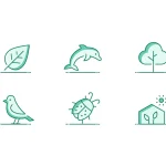 I will design ultra crisp vector line icons for your website