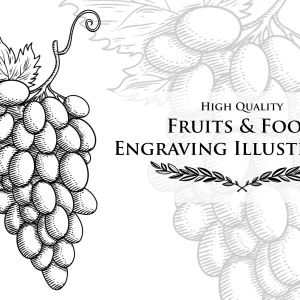 I will draw detailed fruit, plant, or anything with engraving style