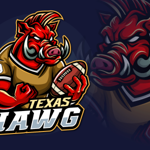 I will design mascot sport logo for team and pro leagues